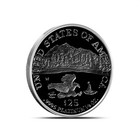 1 4 Oz Proof American Platinum Eagle Coin  random Year  Capsule Only 