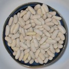Blue Lake 274 Bean Seed - Heirloom Greenpod Garden Bush Beans Seeds    oz Or 1oz 