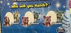 New Hatchimals Rare Hatchibabies Egg Interactive Pet Baby Boy Or Girl