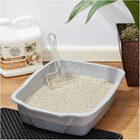 Special Kitty Scoopable Tight Clumping Cat Litter  Fragrance Free  14 Lb 