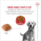 Royal Canin Breed Health Nutrition Golden Retriever Adult Dry Dog Food  30-lb