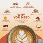 Organic Mushroom Coffee - Coffee For Better Energy - 30 Servings  pack Of 3 