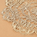 2 Pieces 10 Inch Doilies Crochet Handmade Coasters Round Placemat Rustic Table D