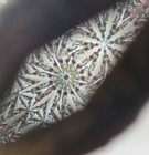 Kaleidoscope Stained Glass Art  Glitter Wand Pink