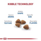 Royal Canin Feline Health Nutrition Indoor Adult Dry Cat Food  7 Lb Bag