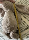 Jellycat Small Bashful Beige Bunny Plush Rabbit Brown 10    Stuffed Animal
