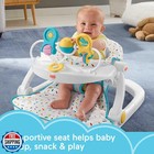 Fisher-price Portable Baby Chair Deluxe Sit-me-up Floor Seat With Snack Tray 