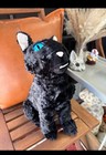 Coraline The Black Cat Wuss Puss Plush Animal Toy Animal 14   