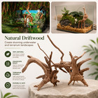 Natural Driftwood Fish Tank Ornament Aquarium Wood Root Decor Plant Branch