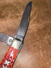 Case Red Bone Pocket Knives - Mini Trapper