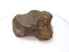 3 58 Grams   agoudal   iron Meteorite   whole Individual As Found   coa