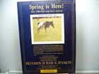 Vintage Appaloosa News Magazine Original April 1986