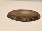 Collectable Natural Polished Agate Slice Stone Brown white yellow Geode Display