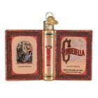 Old World Christmas Blown Glass  ornament For Christmas Tree   cinderella Book
