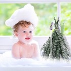 15 Pcs Natural Eucalyptus For Shower Bundle 100  Real Eucalyptus 17  Dried Pr   