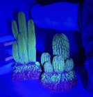 Pair Vintage Mid Century Southwestern Resin Cactus Figurines Uv Glow Black Light