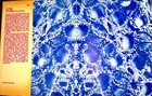 Tatting Irene Waller 1974 First Edition Vintage Lace Craft Book Hardcover