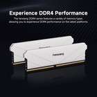 Fanxiang Ddr4 Ram 32gb 16gb X2 8gb X2 3200mhz 3600mhz Udimm Pc Desktop Memory
