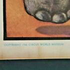 1960 Al G Barnes Circus World Museum Wild Animal Poster  Elephant Vintage Ws