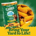 Pennington Classic Whole Ear Corn  Squirrel And Critter Feed  6 5 Lb  Bag  Dry 