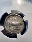 Posedon 470-420 Bc Lucania Poseidonia  Ancient Greek Silver Stater Cng Choice F