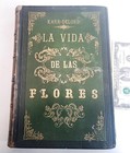 Antique Book 1878 Life Of Flowers Karr Delord Vol Ii In Spanish 29 Engravings