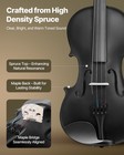 Violin 4 4 Size Fiddle Set Solidwood For Beginners With Case Rosin Black