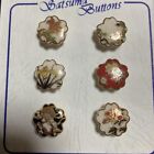 Satsuma Button 15mm Set Of 6 Unused In Wooden Box Rare From Japan Retro Antique