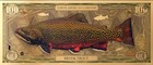 New  Brook Trout Aurum 100mg 24k Gold Bill 2025