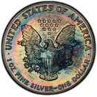 1992  1 American Silver Eagle Pcgs Ms64 - Beautiful Dual Sided Rainbow Toning