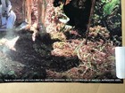 Star Wars Return Of The Jedi Movie Cast Rare 1983 Vintage Poster