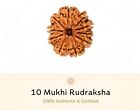 10 Mukhi Nepal Rudraksha Original Silver Pendant Energized  medium 25mm-26mm 