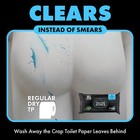 Dude Wipes 18 Pack - Unscented Extra-large Flushable Wet Wipes With Aloe