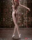 New Girl Type Phicen S26a 1 6 Seamless Shorter Body Pale M Bust 10 6   High   usa   