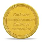 7 Year Aa Medallion Gold Plated Alcoholics Anonymous Sobriety Chip Coin Vii Year