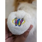 Retired Collie Dog Plush Brown White Webkinz Hm149 Stuffed Animal Ganz