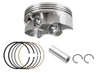 Rhino Viking Raptor 700 Atv Stock Piston Rings Replacement For Yamaha Top End