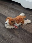 Ty Beanie Baby Retired Sampson The Dog 2001 With Tags
