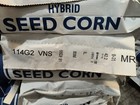 Hybrid Seed Corn 114 Day Mr   Seed Corn 