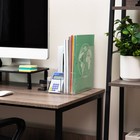  Vertical File Storage  Desktop Organizer  Magazine Holder