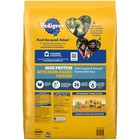 Pedigree High Protein Adult Dry Dog Food Chicken And Turkey Flavor    18 Lb  Bag