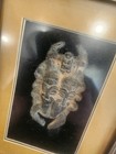 Stone Carving In Shadow Box Reproduction 