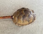 Vintage Native American Turtle Shell Rattle