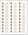 150 Harvest Indian Corn Mailing Return Address Labels Personalized