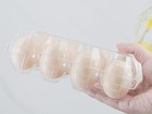 Egg Cartons 60 Packs  Clear Plastic Blank Egg Cartons With Free Labels  Holds Up