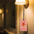 Coastal Animals Car Air Freshener 4 Pcs  Turtle shell octopus starfish Hanging 