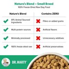 Dr  Marty Nature s Blend Adult Small Breed Freeze-dried Raw Dog Food 6 Oz