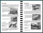  M1 Garand Manual Book Guide Takedown Direct From Gun-guides Disassembly M1 Usa
