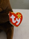 Rare Collectible  Tag Errors Ty Beanie Baby - Seaweed The Otter -mint Condition