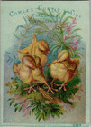 Cowles Curtis   Co Fine Shoes For Sale By Kast   Co Sanfrancisco  Trade Card